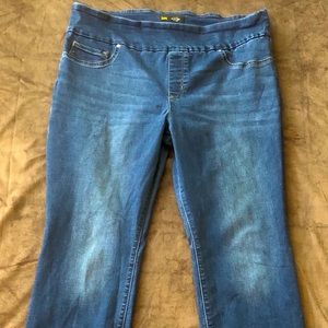 Lee Mid Rise Sculpting Jean (16S)